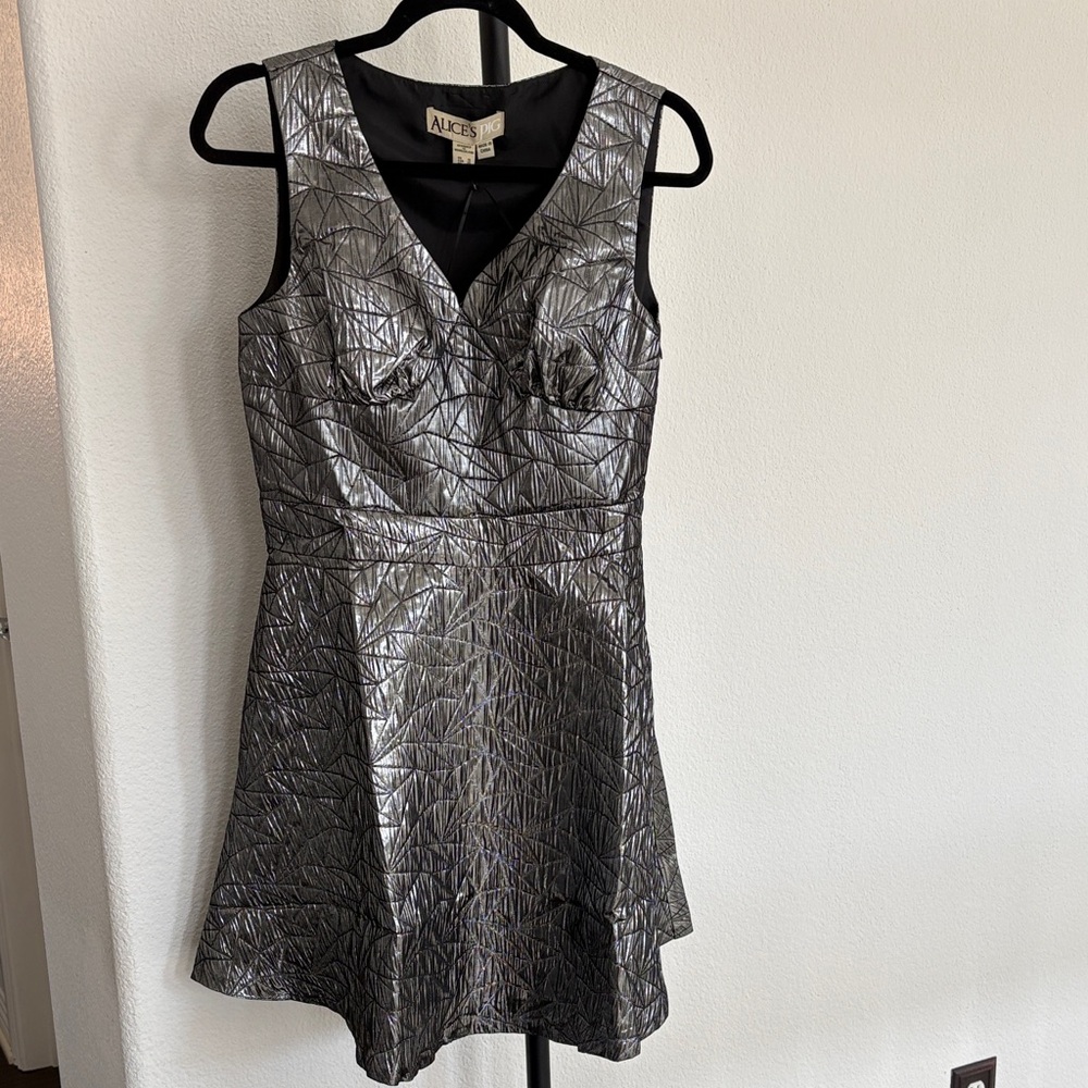Alice’s Pig Woman’s Heidi’s Harlequin A-Line NWT Size 6